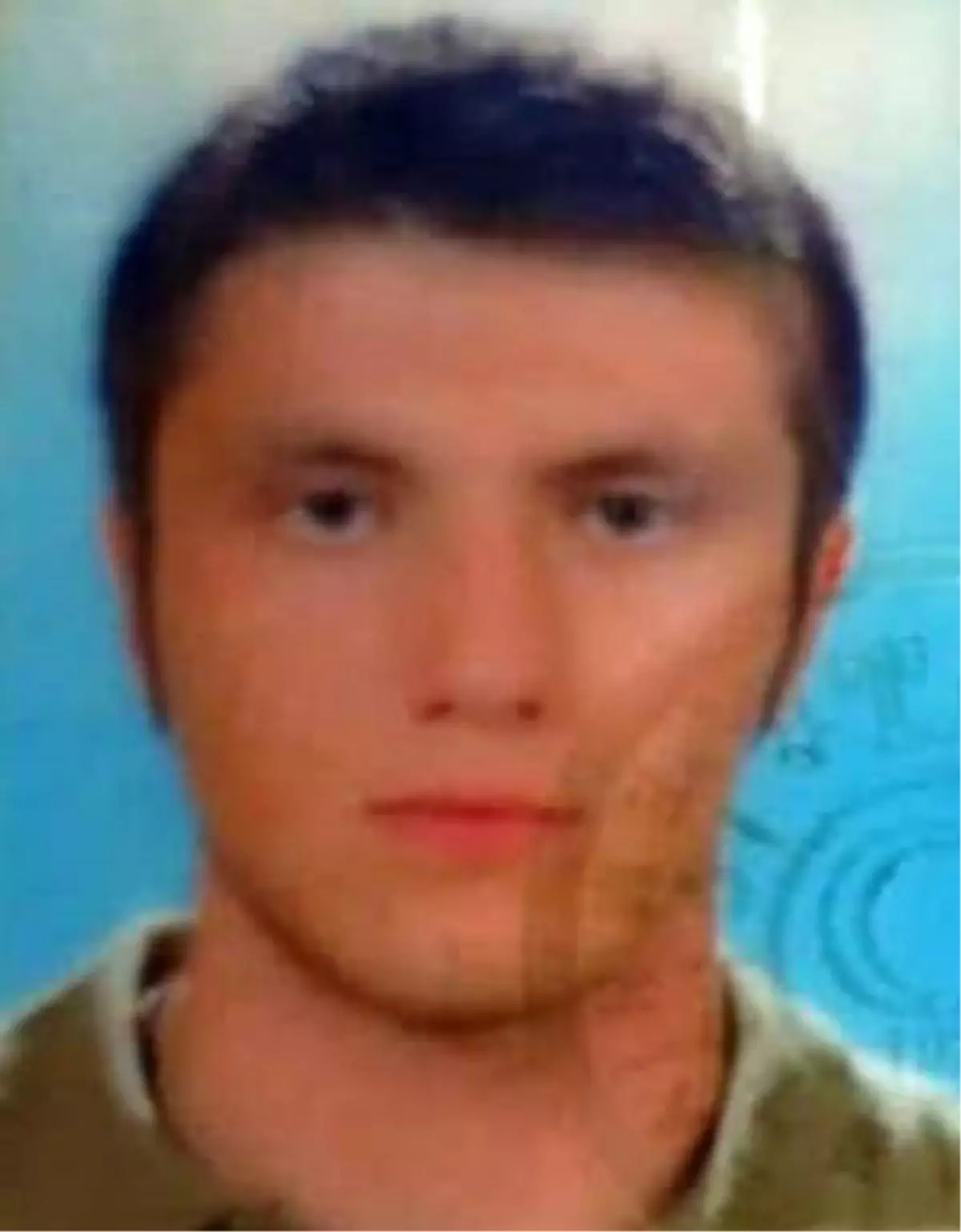 Motosikletiyle ağaca çarpan sürücü, yaşama tutunamadı