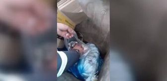 Soma'da temizlik işçileri poşetle çöp konteynerine atılmış 3 güvercin buldu