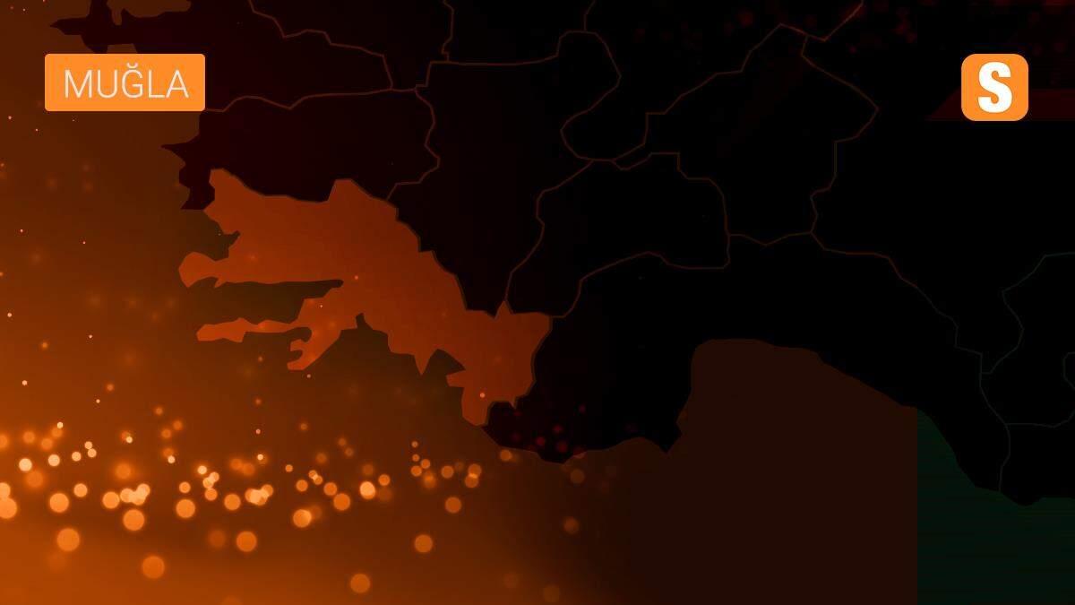 Datça\'da numarataj çalışması başlatıldı