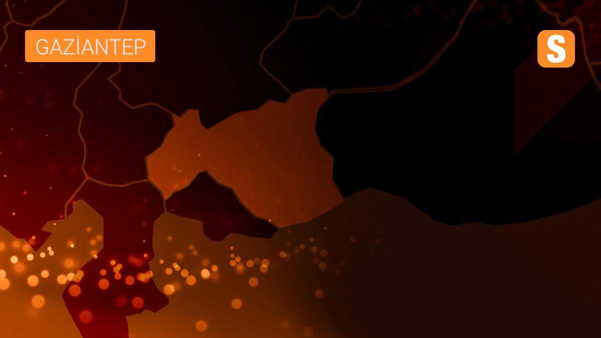 Gaziantep Valisi Davut Gül\'den yeni yıl mesajı