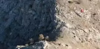 Kaçak avcılar drone ile böyle yakalandı