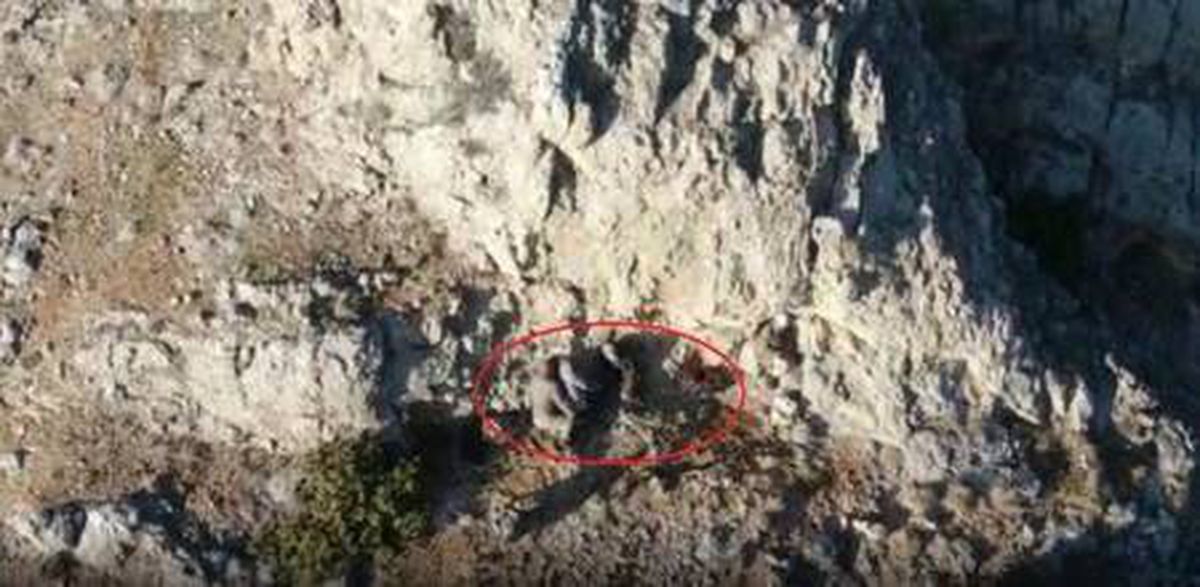 Kaçak yaban keçisi avcıları dronla tespit edilip, yakalandı