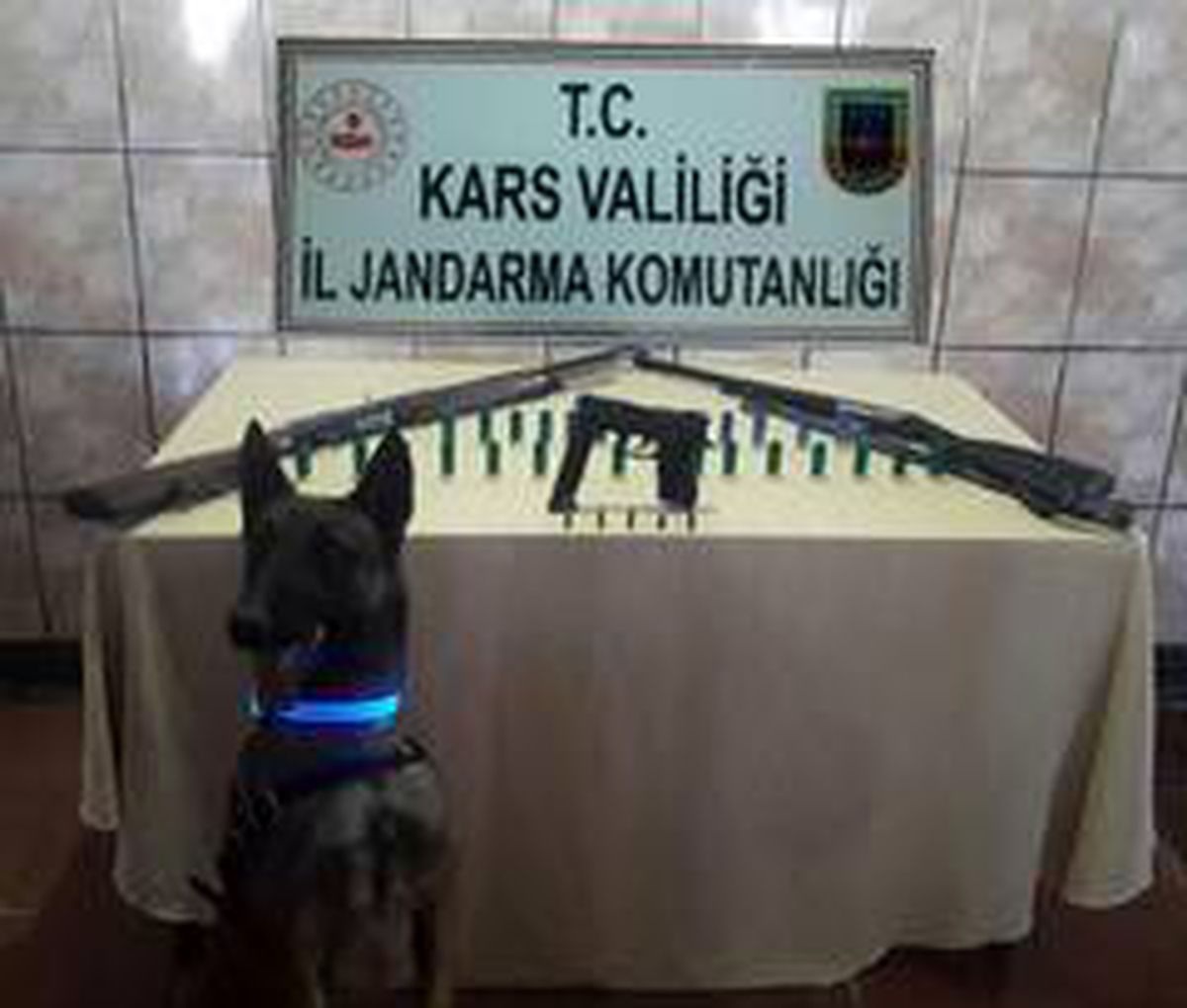 Kars\'ta jandarmadan ruhsatsız silah operasyonu