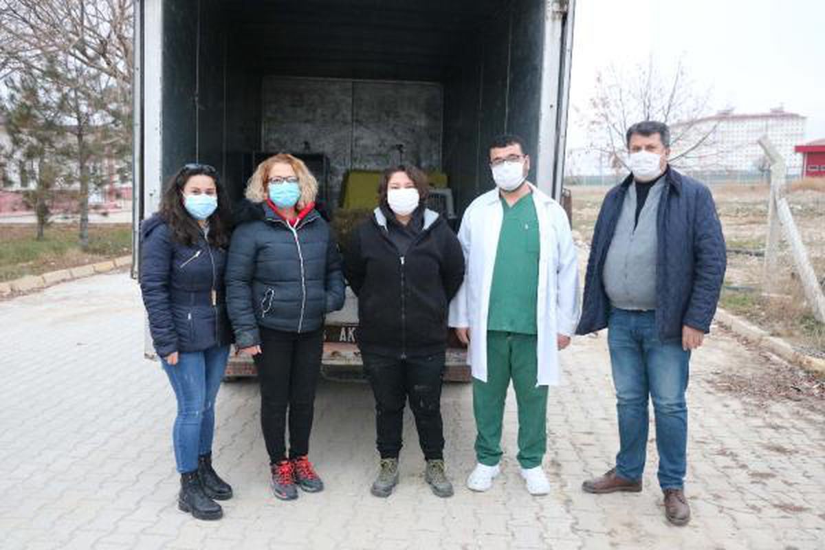9 yaban hayvanı, Ormanya\'ya teslim edildi