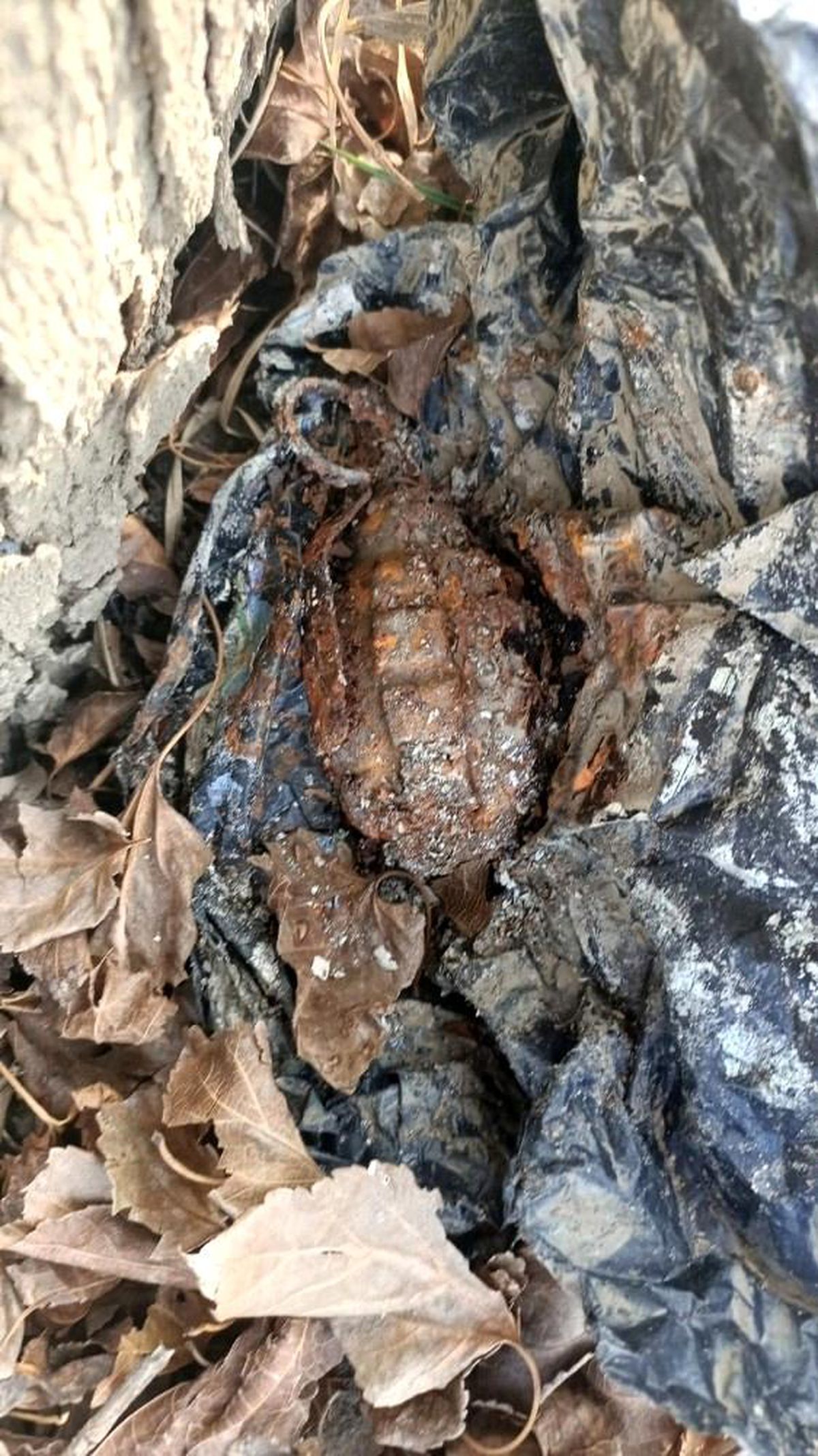 Ağaç kovuğuna el bombası saklayan iki şüpheli yakalandı