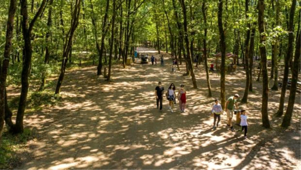 Son dakika haber... Avrupa\'nın en büyük doğal yaşam parkı 2020\'de 5 milyon ziyaretçiyi ağırladı
