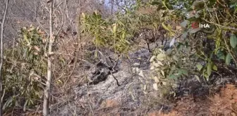 Bir sigara 20 dönüm alanı yaktı