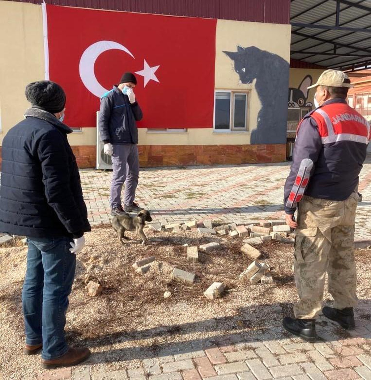 Son Dakika | Jandarmanın fark ettiği bacağı kırık köpek tedavi altına alındı