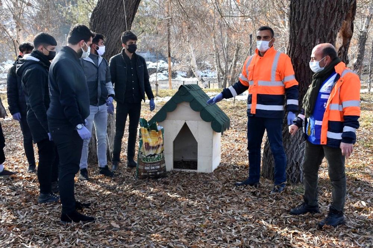 Tatvan Belediyesinden sokak hayvanlarına kulübe