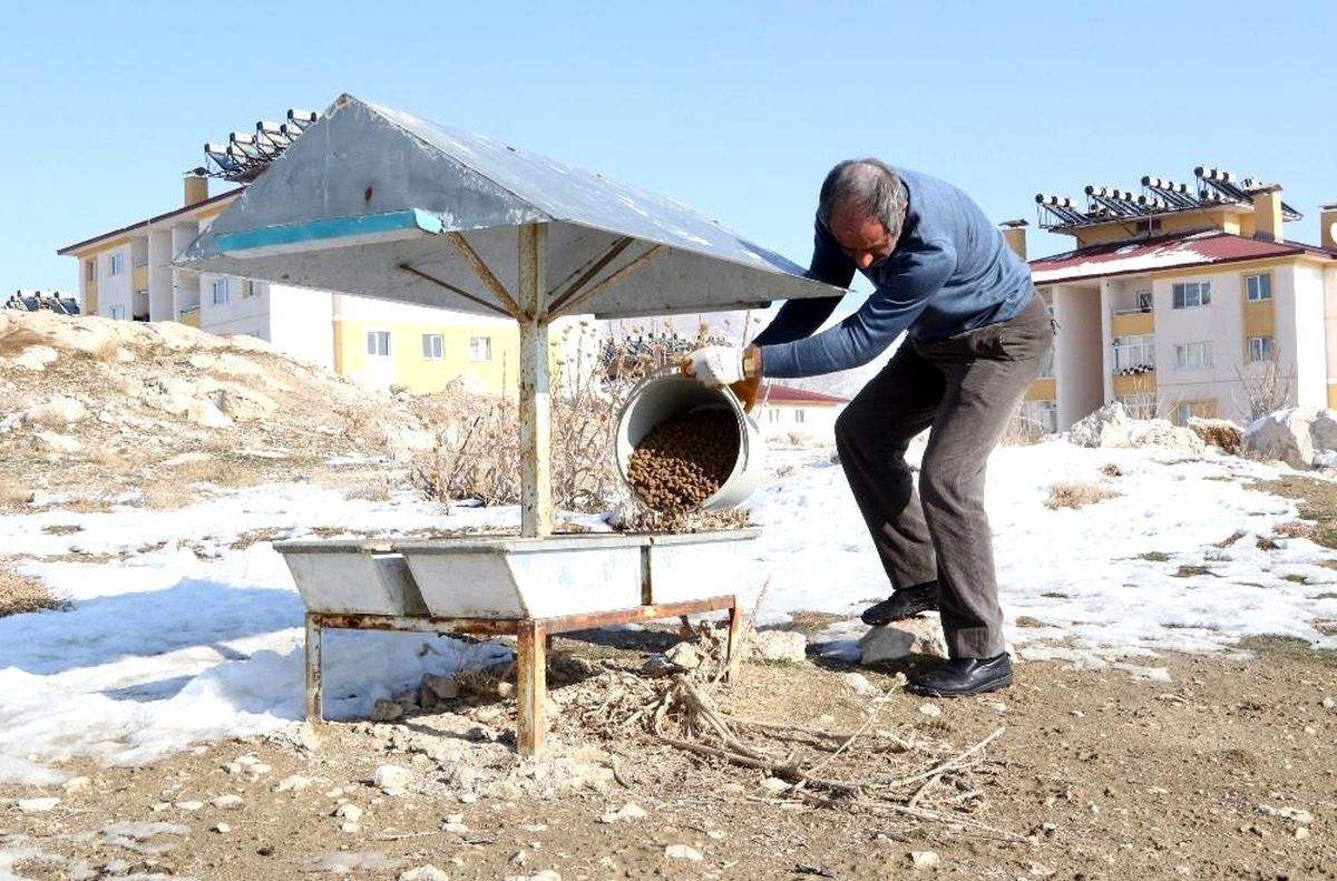 Van\'da kısıtlama öncesi sokak hayvanları unutulmadı