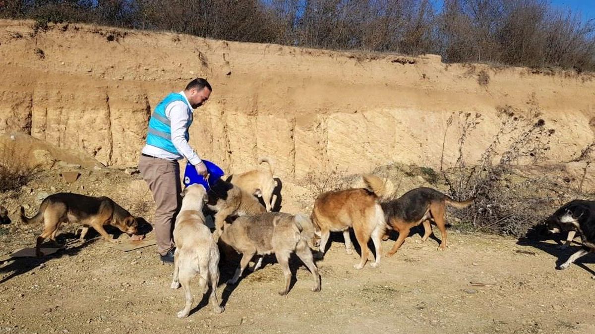 Yeni yıla da anlam kattılar
