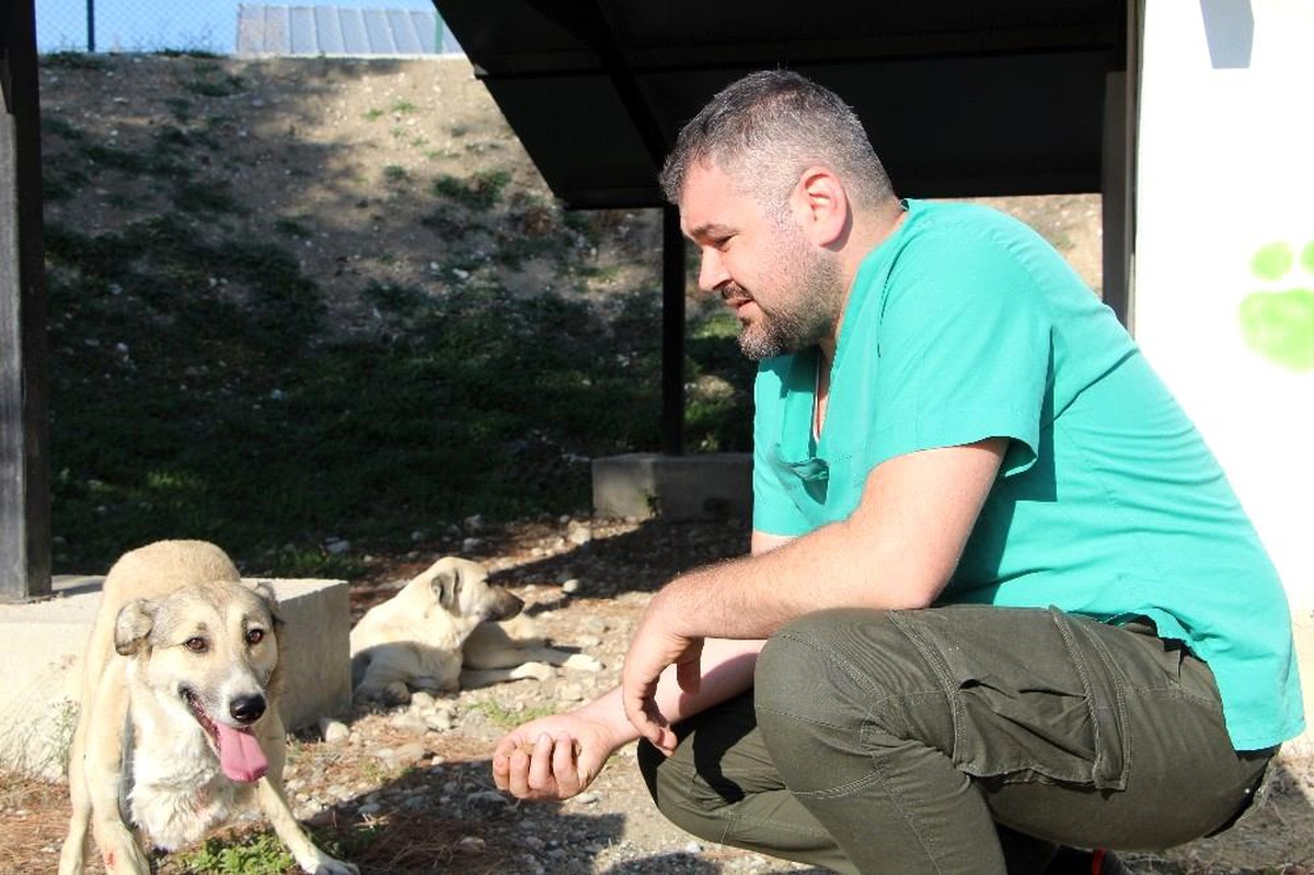 2 aylık iken yaralı bulunan Lady, 5 yıl sonra yuvaya döndü