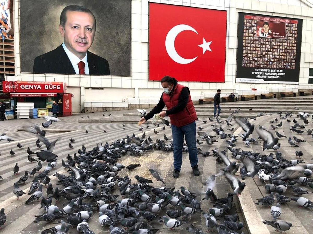 Başkan, kısıtlamada sokakta aç kalan hayvanları besledi
