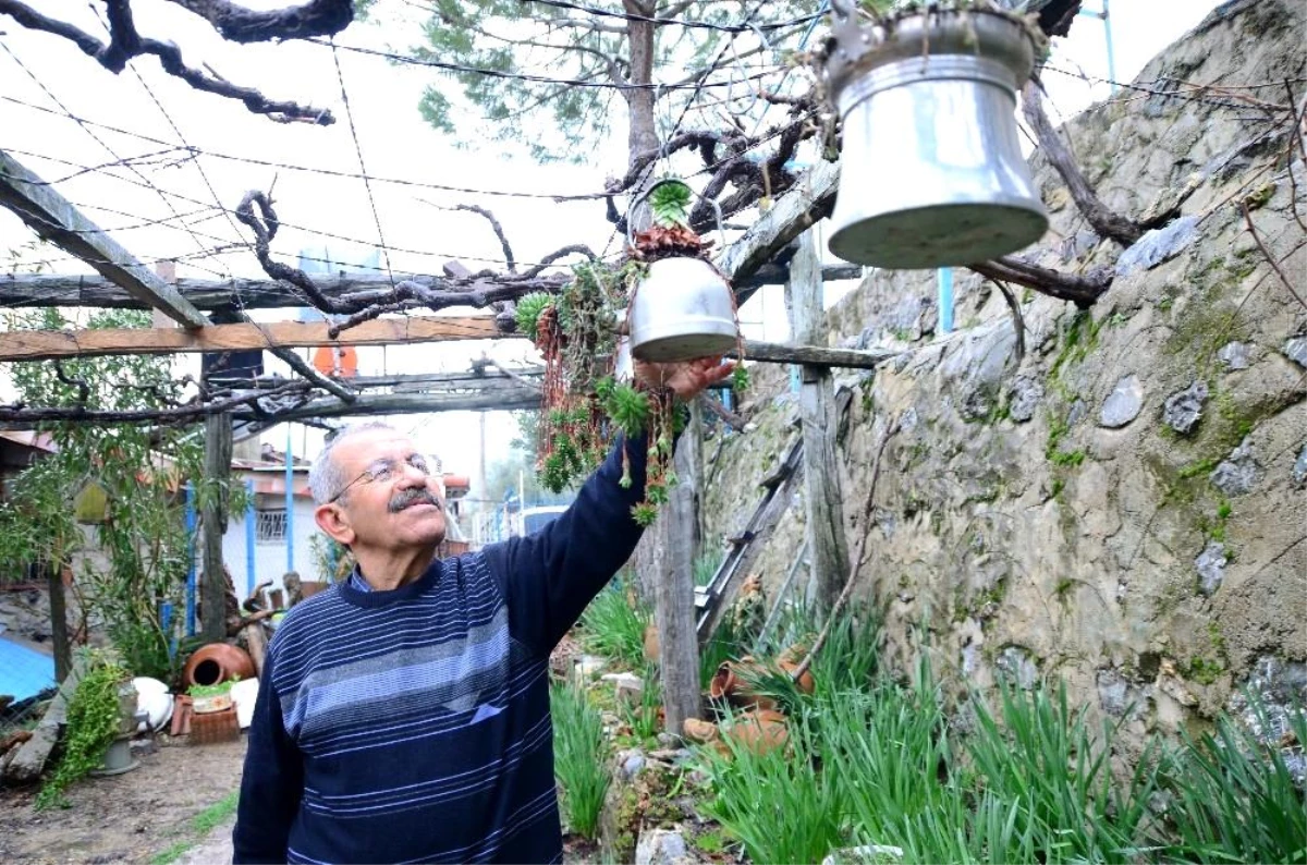 Emekli öğretmenin geri dönüşüm saksıları