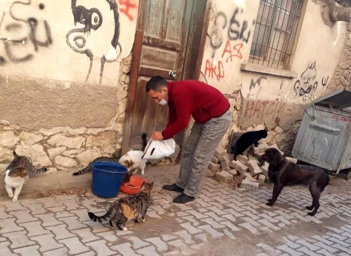 Sokak hayvanları unutulmadı