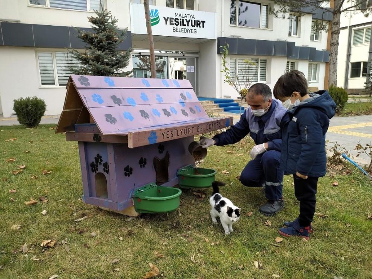 Yeşilyurt\'ta sokak hayvanları için Kedi ve Köpek Evler Projesi