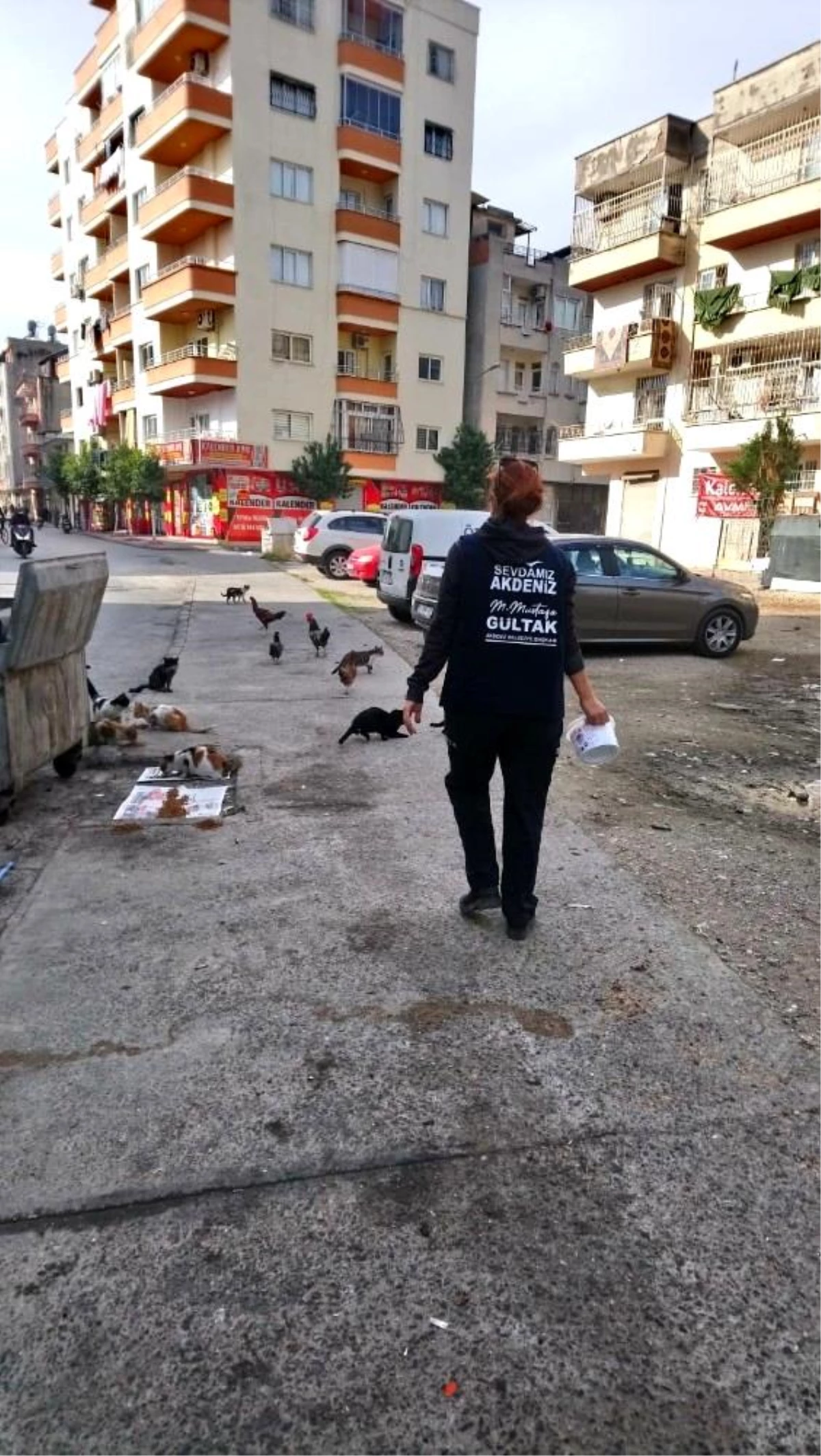 Kısıtlamada, sokakta yaşayan canlılar unutulmadı