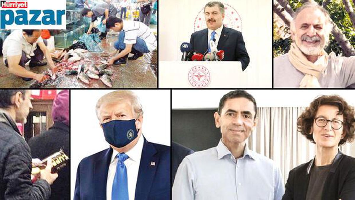Koronaloji: Salgınla geçen bir yıl