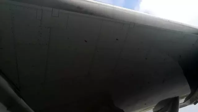 Kuş sürüsüne giren THY'nin kargo uçağı Atatürk Havalimanı'na geri döndü Kuş sürüsüne giren THY'nin kargo uçağı Atatürk Havalimanı'na geri döndü