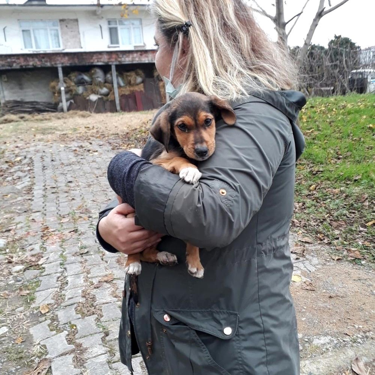 Rize\'de sokak hayvanları \'Patiler kampanyası\' ile unutulmadı
