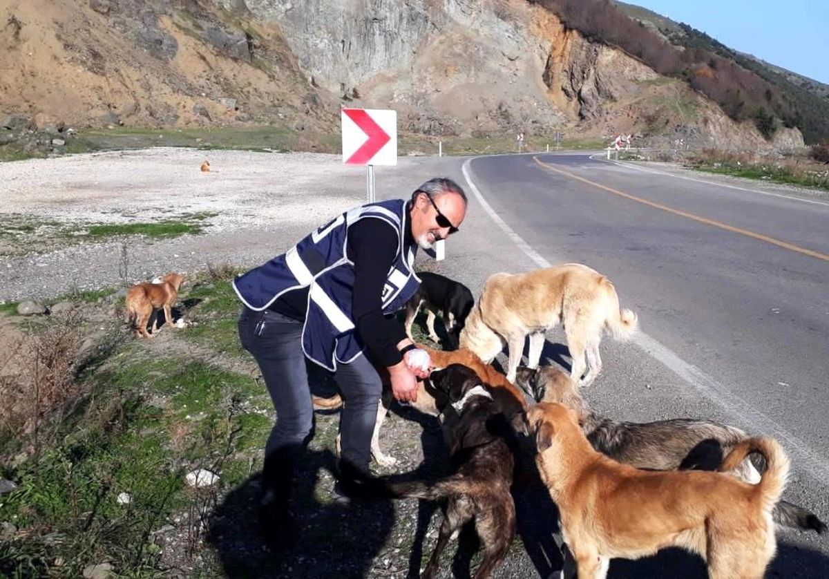 Samsun polisi sokak hayvanlarını unutmadı