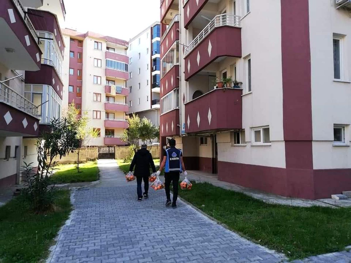 Türkeli\'de 2 bin haneye meyve dağıtımı