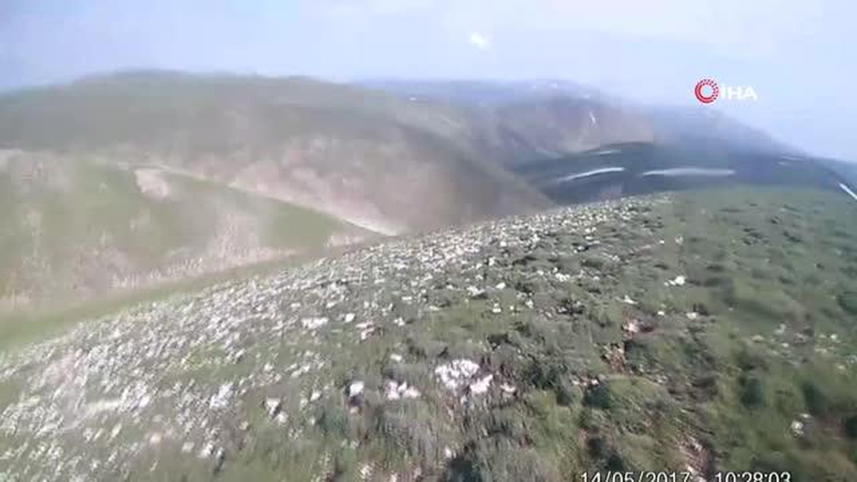 Yılkı atlarıyla yarışmıştı, katledilmelerine tepki gösterdi