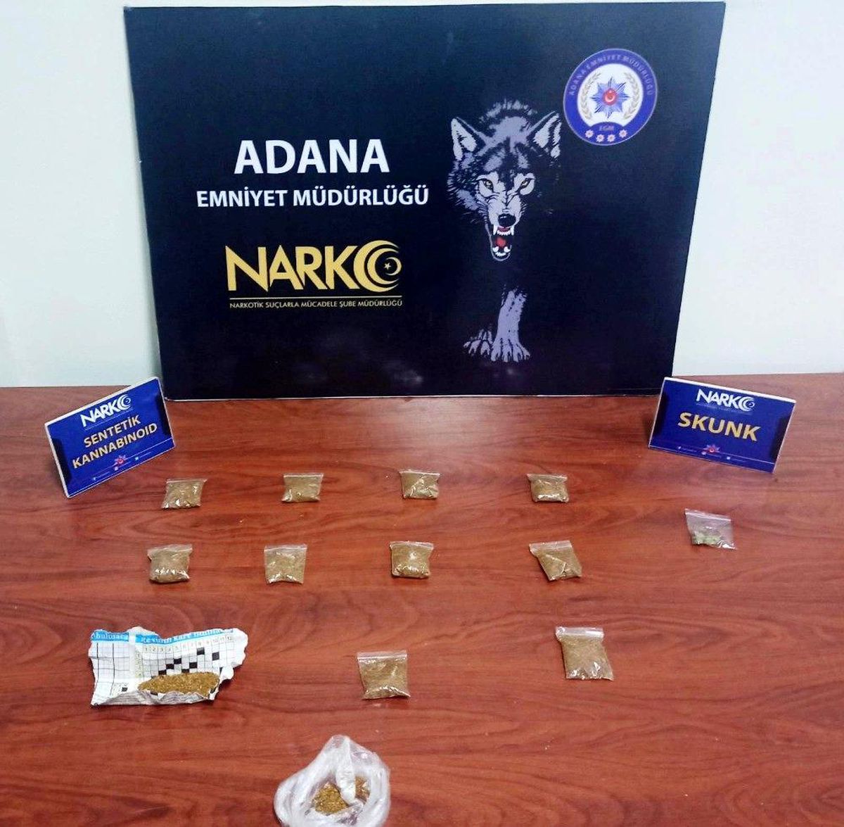 Adana\'da 19 "torbacı" tutuklandı