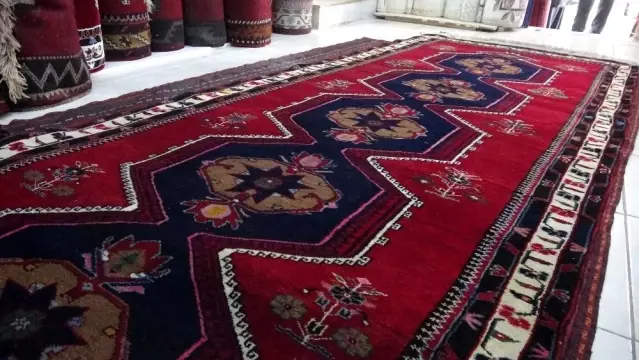 asirlik halilar ilgi odagi oldu