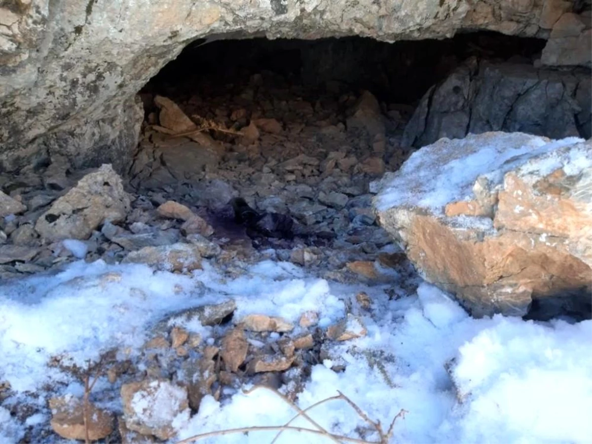 Bitlis\'te 250 kilo amonyum nitrat ile yaşam malzemesi ele geçirildi