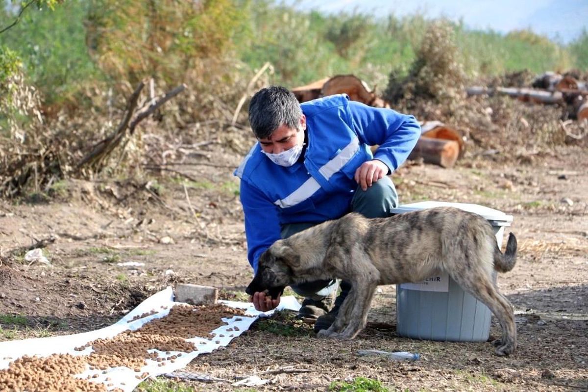 Büyükşehir can dostları unutmadı