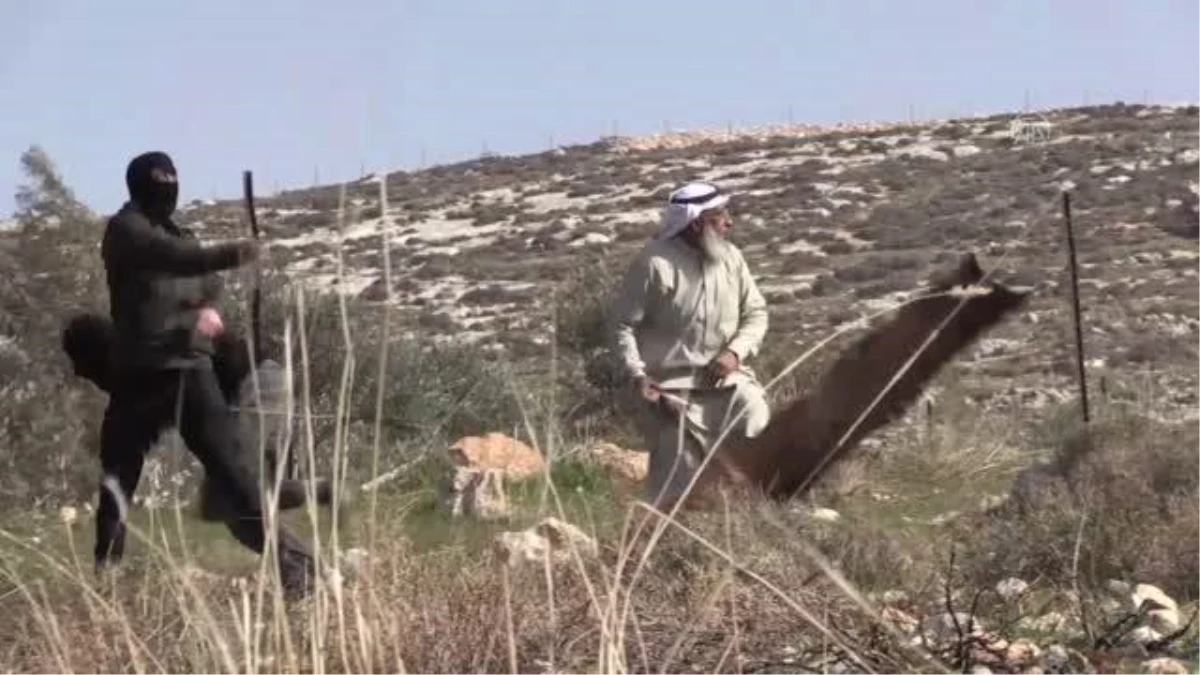 Filistin\'in ihtiyar delikanlısı sapanıyla İsrail askerlerine karşı direniyor