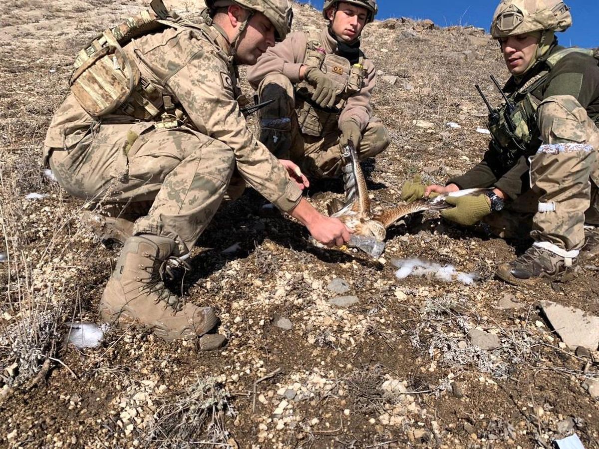 Jandarma komandolardan yaralı şahine şefkat eli