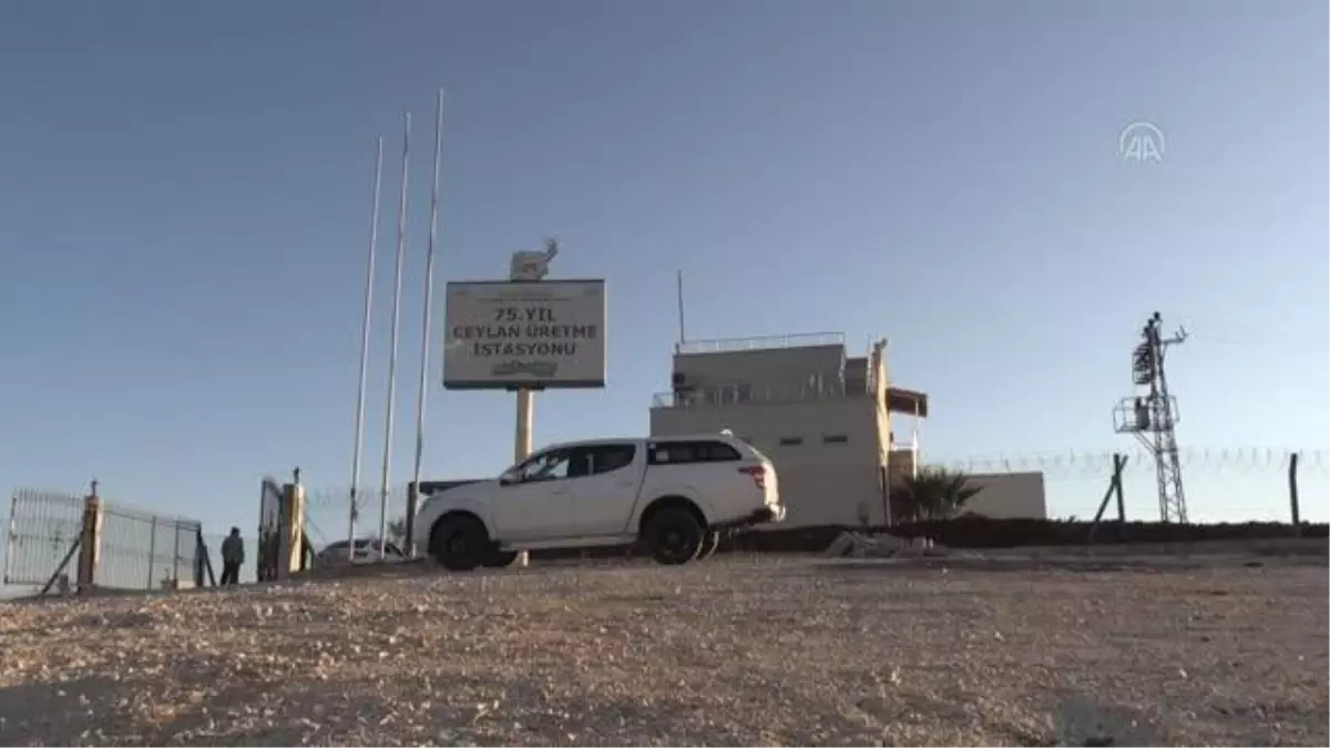 ŞANLIURFA - Doğu\'da kaçak avcılara geçit verilmiyor