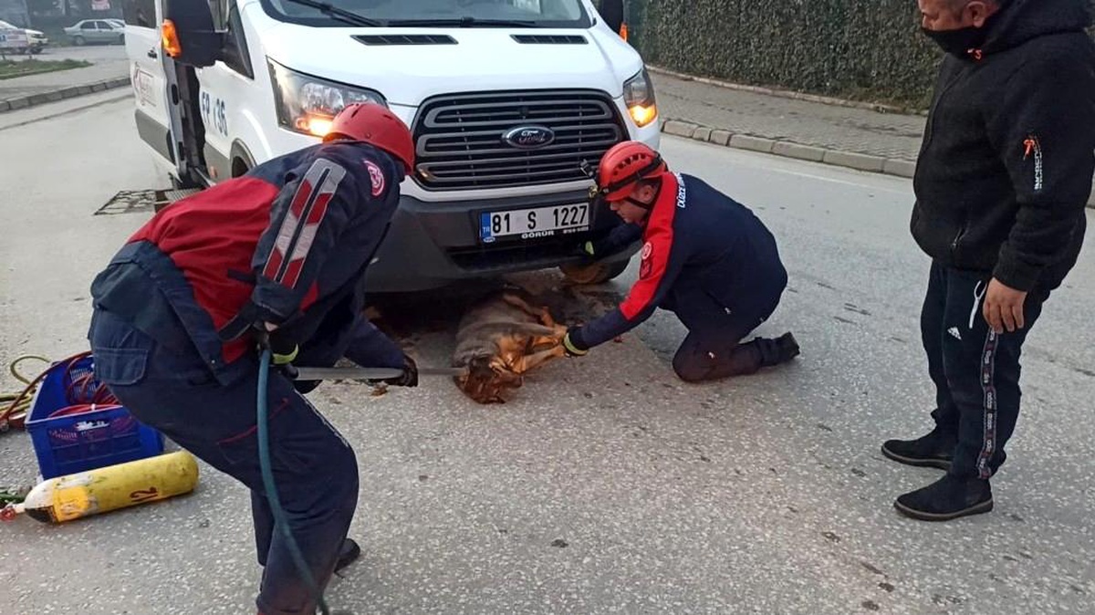 Son dakika haberi! Servis minibüsünün çarparak altına sıkıştırdığı köpeği itfaiye kurtardı