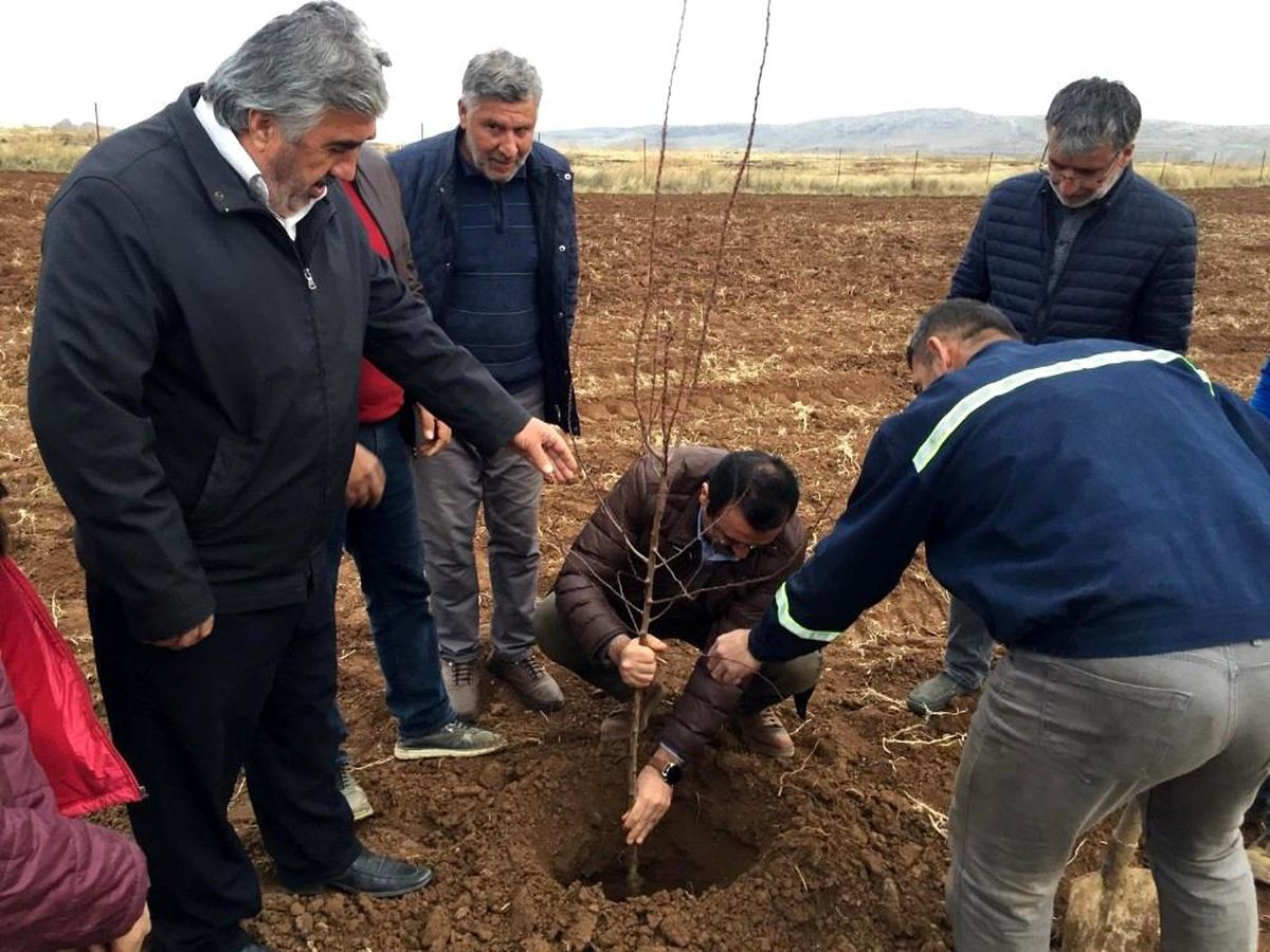 Siirt fıstığından sonra badem ve ceviz yetiştiriciliği de yaygınlaştırılıyor