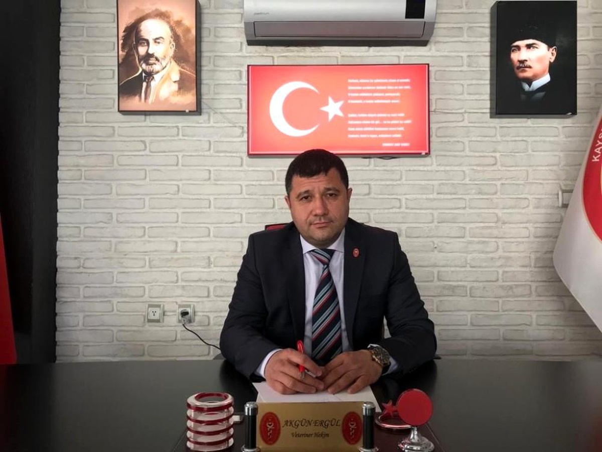 "Sokak hayvanları kış aylarında aç kaldıkları için saldırganlaşabilir"