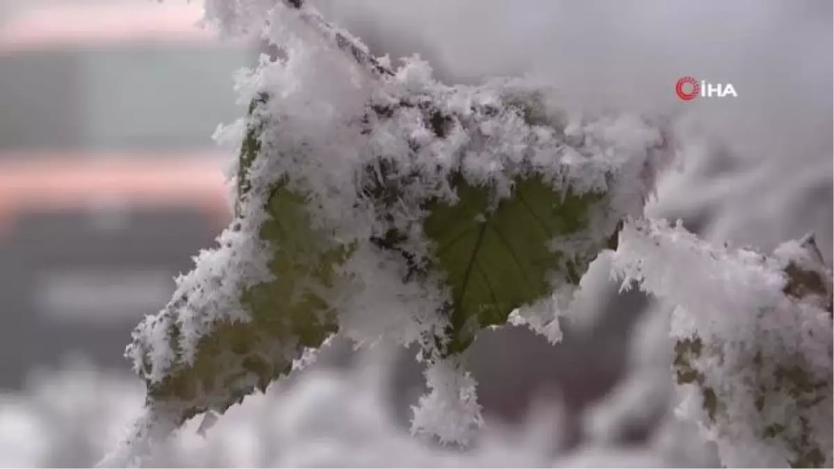 Ardahan buz tuttu, soğuk hava vatandaşlara zor anlar yaşattı