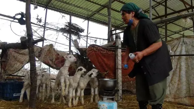 Bir anlık dikkatsizlikleri 15 bin liraya mal oldu