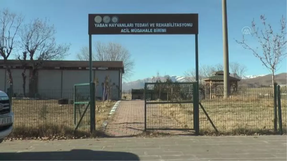 Doğa Koruma ekiplerinden 178 yaralı yaban hayvanına şifa eli