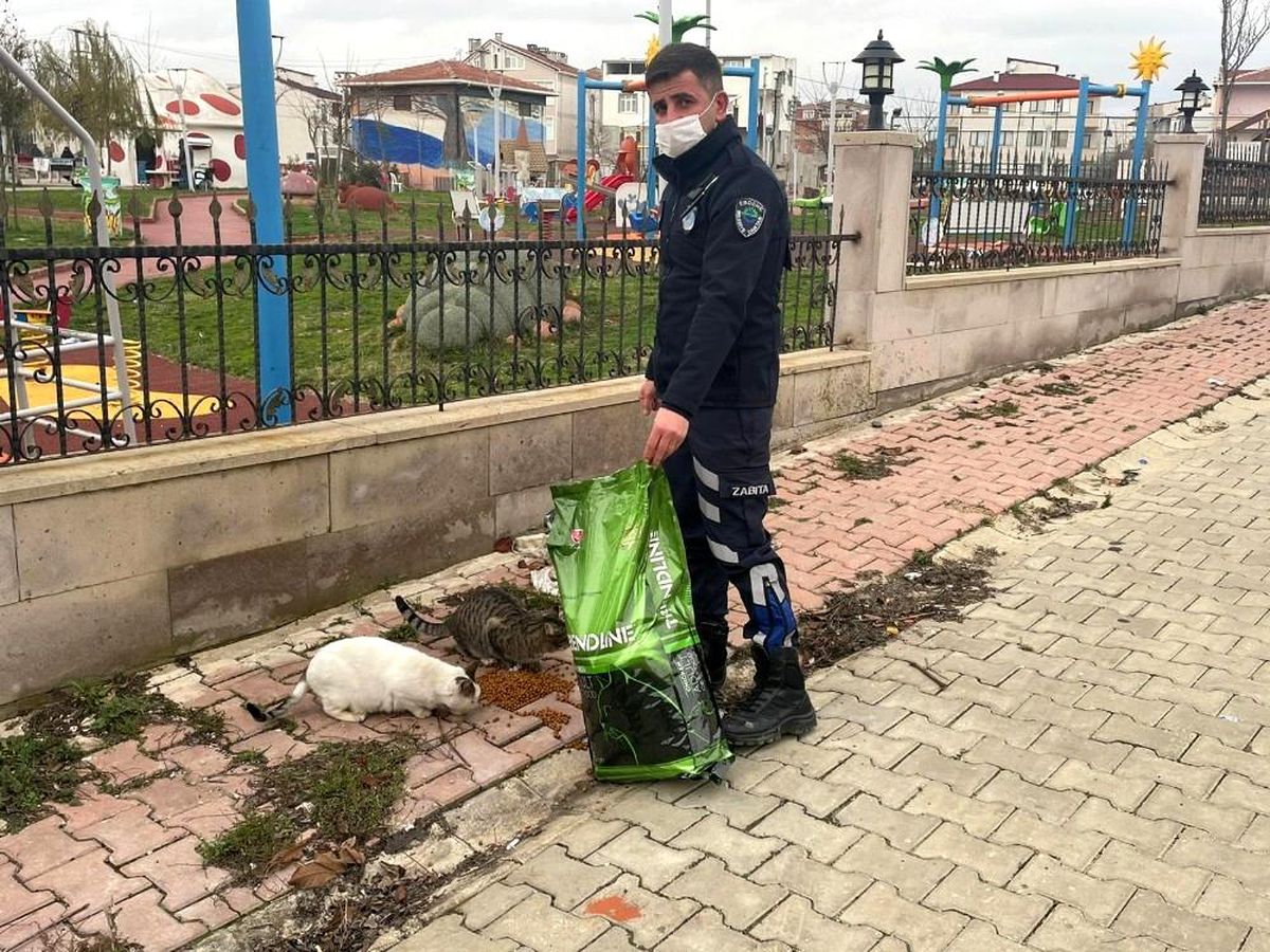Ergene Belediyesi sokak hayvanlarını yalnız bırakmıyor