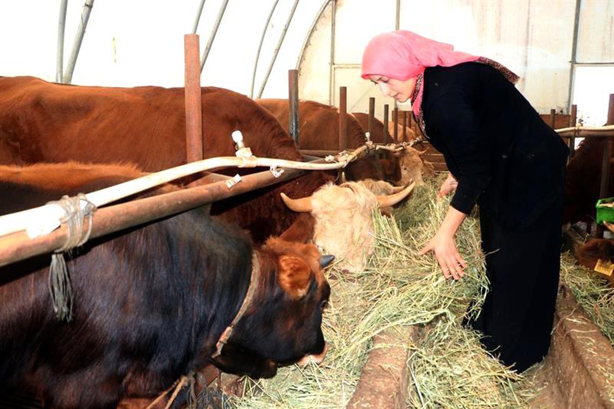 Genç çiftçi projesiyle başladı şimdi siparişlere yetişemiyor