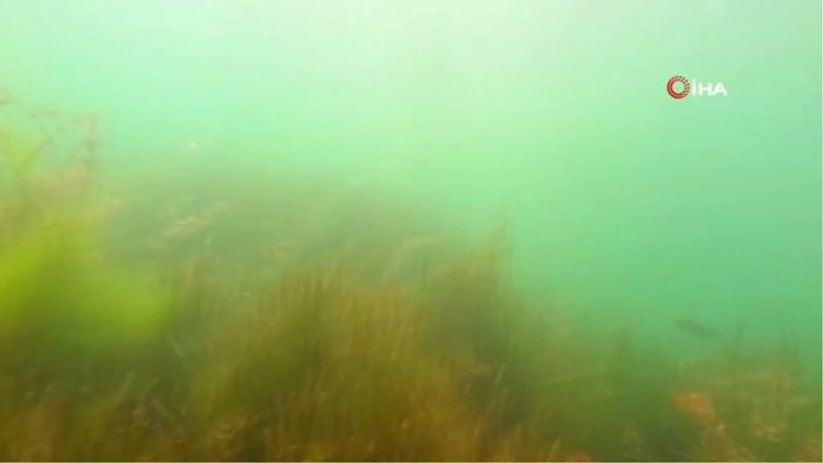 Sapanca Gölünün su altı ve drone görüntüleri nefes kesti