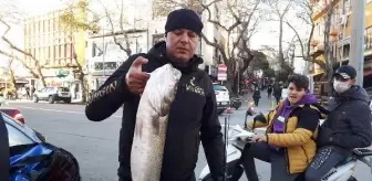 Amatör balıkçı, 6 kilo 380 gram ağırlığında levrek avladı