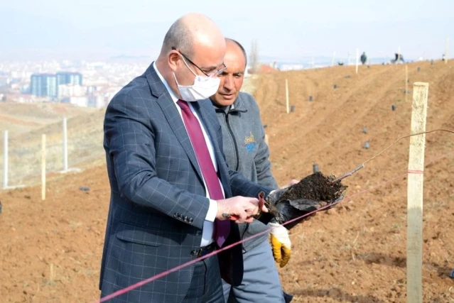 Kırşehir Belediyesinden 18 bin metrekarelik yeni yeşil alan