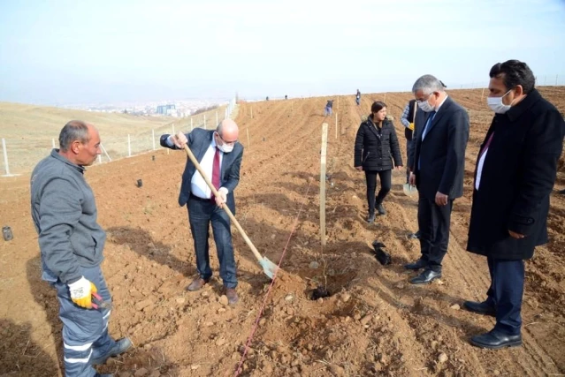 Kırşehir Belediyesinden 18 bin metrekarelik yeni yeşil alan