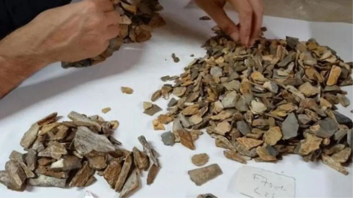 Bilim insanlarını şaşırtan keşif! Arkeolojik kalıntıdan 41 bin yıllık Neandertal kalıntısı çıktı