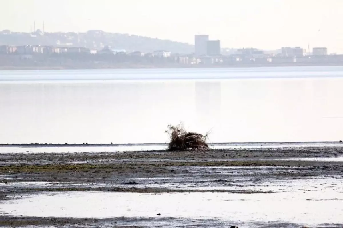 Büyükçekmece gölünde korkutan görüntü: Suyun çekildiği alanda yeni kıyı seti oluştu