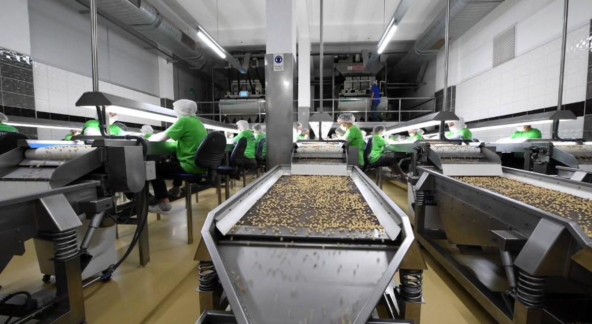 Türkiye, 2020\'de fındık ihracatından 1,9 milyar dolar gelir sağladı