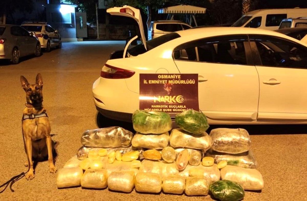 Osmaniye\'de narkotik operasyonlarına 225 tutuklama